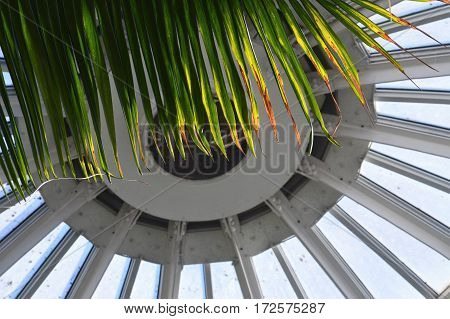 The interior glass dome in the greenhouse