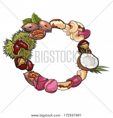 Round frame of walnut, coconut, cashew, kola, pine and Brazil nuts, sketch style vector illustration isolated on white background. Round frame of various nuts with place for text