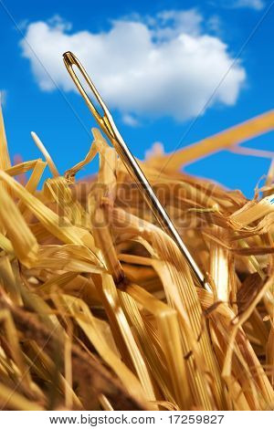 Bir samanlıkta iğne