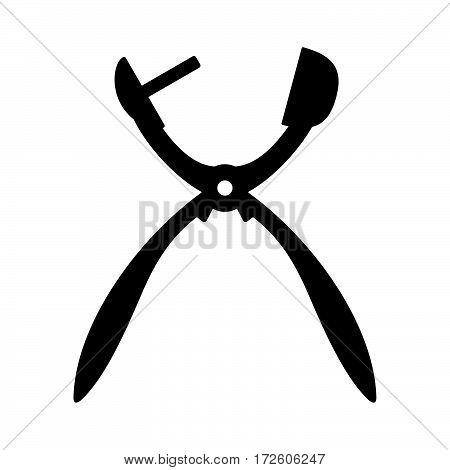 Cherry pitter ( shade picture ) on white background