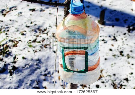 Birdhouse-feeder in the snowbound winter city park