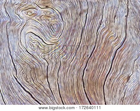 Warm wood texture Digital illustration. Old rustic timber texture with cracks and swirls. Natural texture of tree. Sea wood closeup. Winded timber macro image in grey color. Wood background