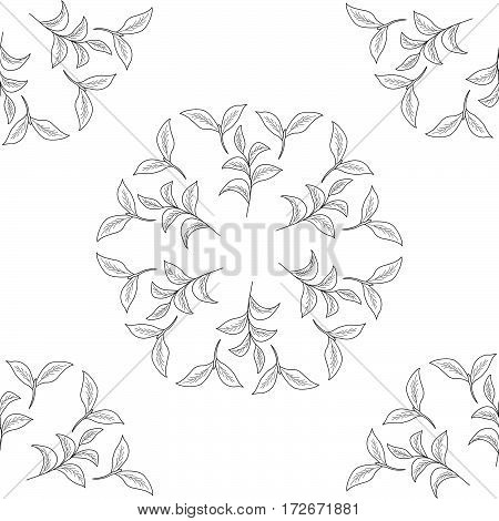 Green tea leaf illustration branch organic hand drawing sketch seamless pattern wreath closeup