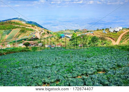 Phu Tubberk Most Famous Travel Place In Thailand.