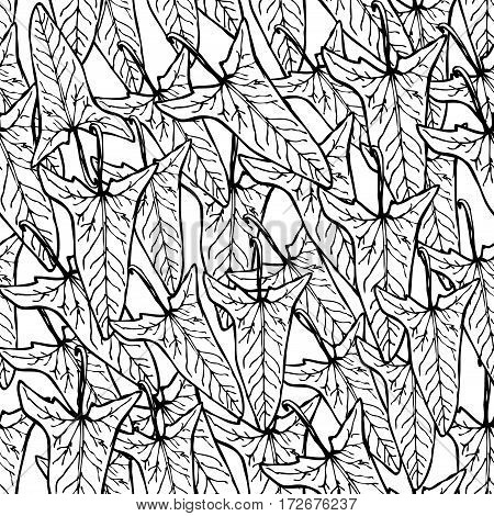 leaves bindweed floral seamless pattern black Leaves contours on white background hand-drawn. Vector illustration