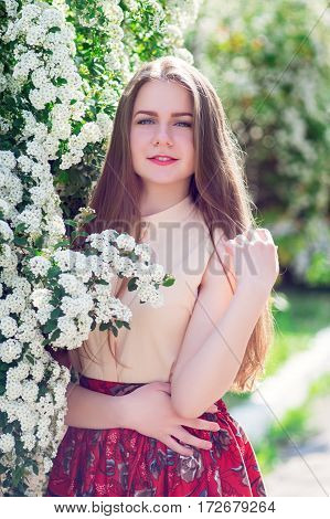 Beautiful Model Range Bush Of White Flowers