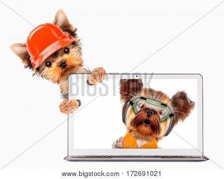 Fixing computer and repair center concept with cute dogs. Template for web page with 404 error, page is lost and not found message, under construction.