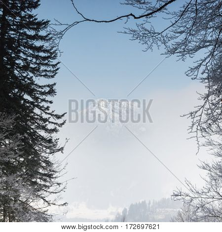 Majestic view through icy branches to a snow covered mountain peak hiding behind fog.