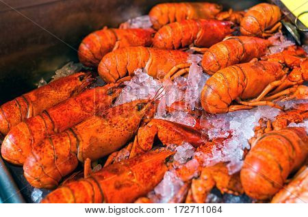 Red boiled crayfish with dill in ice on wooden table