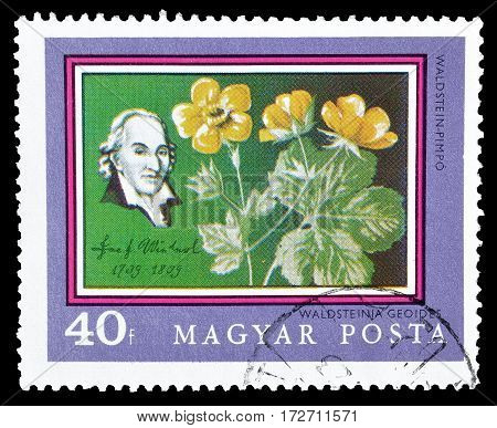 HUNGARY - CIRCA 1971 : Cancelled postage stamp printed by Hungary, that shows Josef Jacob Winterl and flowers.