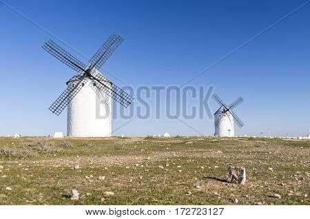Set of windmills on the top of the hill