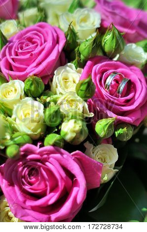 wedding rings and roses in wedding day