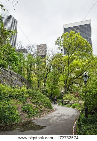 NEW YORK USA - May 04 2016: Alley in the central park of NYC. Central Park and Manhattan Skyline. Midtown Manhattan skyline view from Central Park on an overcast day.