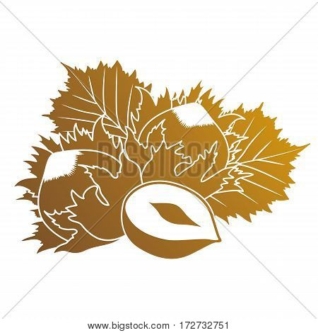 Illustration of hazelnuts in one color on a white background