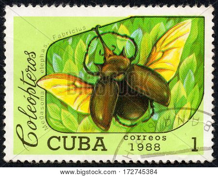 UKRAINE - CIRCA 2017: A stamp printed in Cuba shows Megasoma elephas Fabricius the series Coleoptera circa 1988
