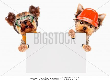 Concepts for web banners, web sites, printed materials. Fixing computer and repair center concept with cute dogs. Template for web page with 404 error.
