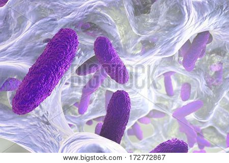 Biofilm containing bacteria Klebsiella, 3D illustration. Gram-negative rod-shaped bacteria which are often nosocomial antibiotic resistant