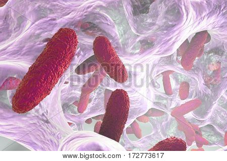 Biofilm containing bacteria Klebsiella, 3D illustration. Gram-negative rod-shaped bacteria which are often nosocomial antibiotic resistant
