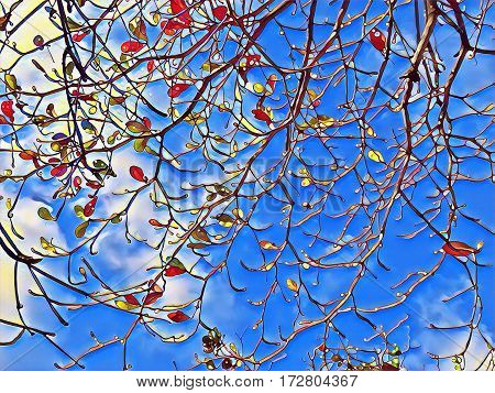 Tree branches natural background. Autumn leaf falling digital illustration. Autumn cloudy sky. Orange and red leaves falling from a tree. Tree branch silhouette. Branch ornament of tree crown picture