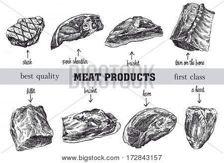 meat products set of hand drawn vector sketches on a white background