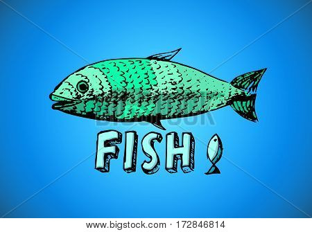 fish illustration on a blue gradient background with fish text