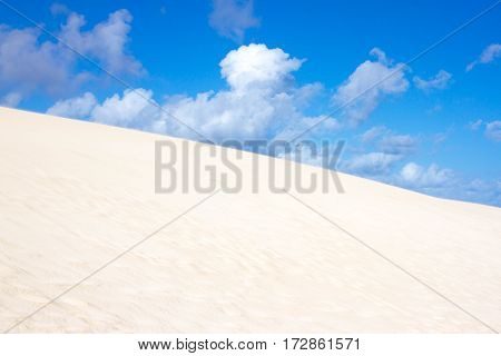 Slope hill sand on yellow dunes on blue sky background. Sustainable ecosystem. Canary island, Fuerteventura dune