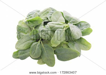 Spinach