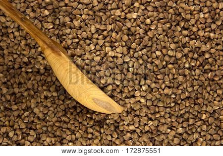 Buckwheat with wooden spoon useful and tasty natural