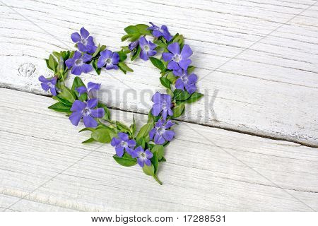 Hjärtformade blommor