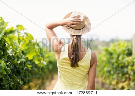 Female vintner in hat standing in vineyard