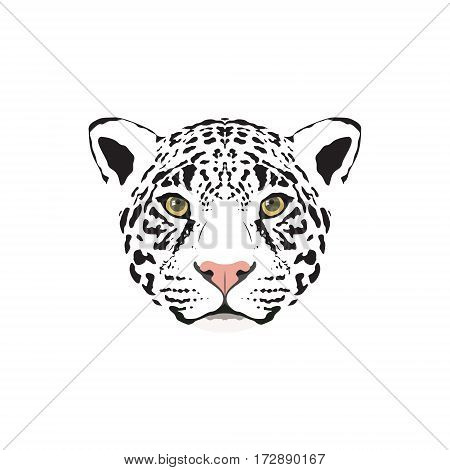 Vector illustration of a white jaguar head. Suitable as tattoo team mascot symbol for zoo or animal preservation center.