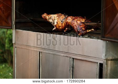 Roasted pig bakes for a wedding dinner