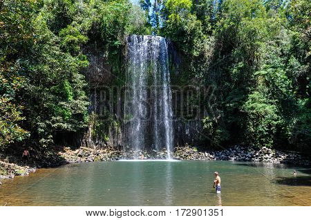 Millaa Millaa Falls In Atherton Tablelands, Australia