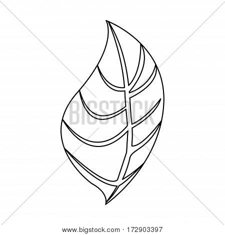 silhouette leaves icon stock, vector illustration design