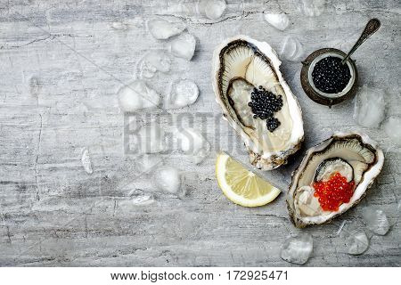 Opened oysters with red salmon and black sturgeon caviar and lemon on ice on grey concrete background. Top view flat lay copy space