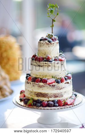 Delicious Chocolate Wedding Cake Decorated With Fruits And Berries