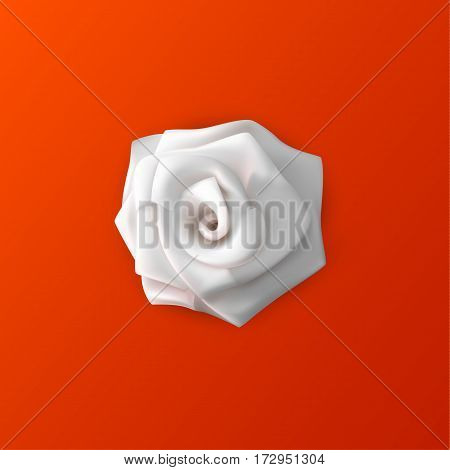 3d vector white rose flower on a red background.