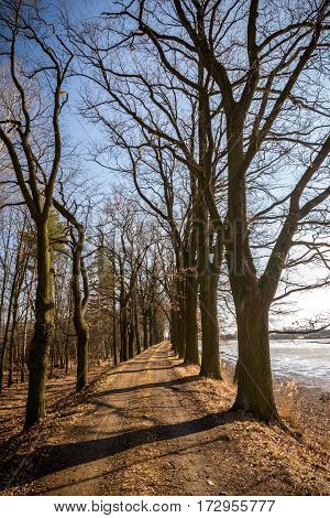 Early Spring Scene Of Path On Dam Of The Fishpond