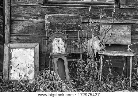 An old grandfathers' clock mirror and old chairs abandoned outdoors in tall weeds in black and white
