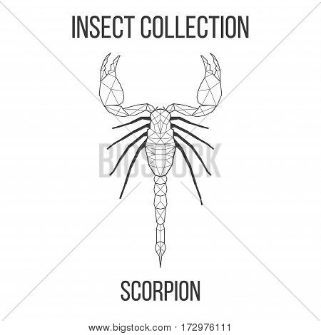Scorpion insect geometric lines silhouette isolated on white background vintage vector design element illustration