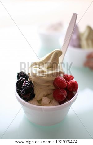 Matcha Green Tea Frozen Yogurt With Fresh Berries and Mochi