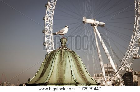 LONDON, UK - JANUARY 26, 2017: The EDF Energy London Eye next to the river Thames, UK