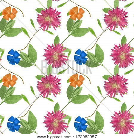 Aster Michaelmas daisy Periwinkle. Texture of flowers. Seamless pattern for continuous replicate. Floral background photo collage for production of textile cotton fabric. For use in wallpaper covers.
