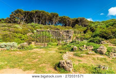 Ruins Of Tipasa, A Roman Colonia In Mauretania Caesariensis. Algeria, North Africa