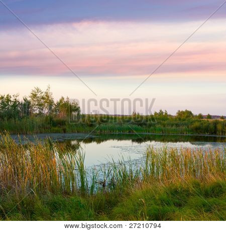 escena de la noche en el lago en estepa
