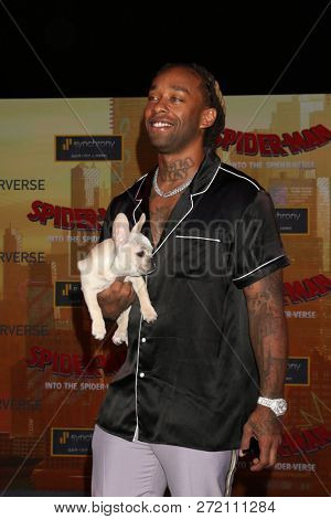 LOS ANGELES - DEC 1:  Ty Dolla Sign at the 