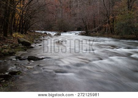 A River Flowing Through A Forest.  Great Smoky Mountains National Park, Tennessee, Usa.