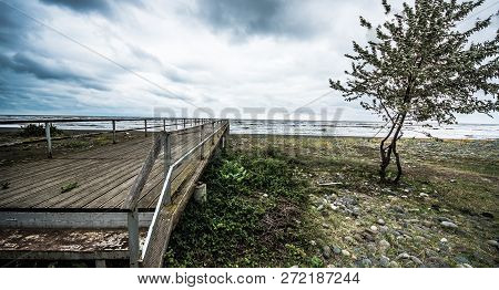 Rusty Bridge And Tree Stretching Into The Lifeless Sea, Caspian Sea Under Blue Sky In Early Septembe