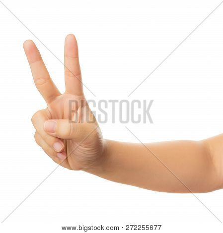 Human Hand Isolate On White Background