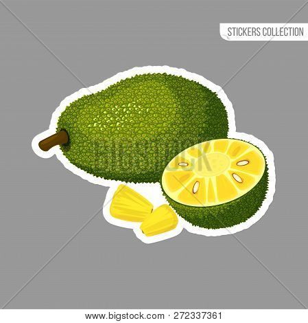 Jackfruit Sticker Isolated On White Background. Bright Vector Illustration Of Colorful Half And Whol